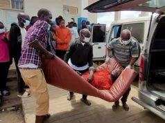 OMS reporta 177 fallecidos por brote de ébola en el Congo