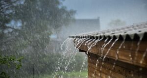 Indomet prevé aguaceros, tormentas eléctricas y ráfagas de viento para este sábado