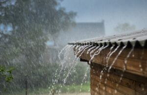 Indomet prevé aguaceros, tormentas eléctricas y ráfagas de viento para este sábado