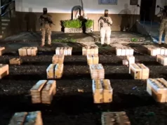 Interpol incauta armas y drogas en operativo en América Latina
