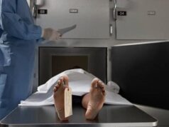Bolivia registra 35 feminicidios en lo que va de año; cuatro ocurrieron en la última semana