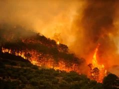Incendio forestal en Huelva obliga a desalojar 365 personas