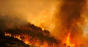 Incendio forestal en Huelva obliga a desalojar 365 personas