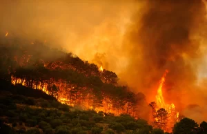 Incendio forestal en Huelva obliga a desalojar 365 personas