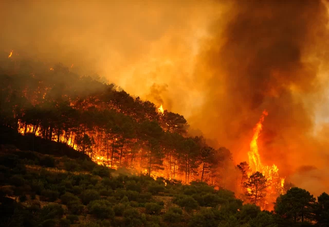 Incendio forestal en Huelva obliga a desalojar 365 personas