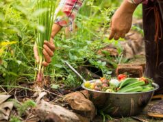 Hoy es el Día de la Gastronomía Sostenible: lo que comemos también cuida el planeta