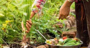 Hoy es el Día de la Gastronomía Sostenible: lo que comemos también cuida el planeta