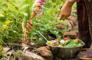 Hoy es el Día de la Gastronomía Sostenible: lo que comemos también cuida el planeta
