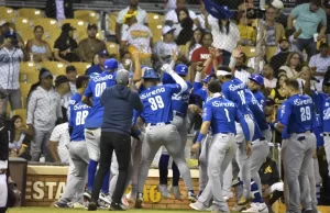 Tigres del Licey anuncian disponibilidad de abonos para la temporada 2026-2027