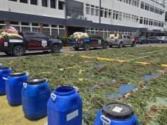 DNCD decomisa 3,533 plantas de marihuana en operativo realizado en San José de Ocoa