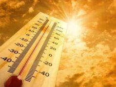 Predominará el sol y el polvo del Sahara este martes