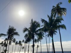 Miércoles con ambiente soleado y chubascos aislados en algunas provincias