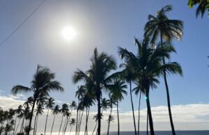 Miércoles con ambiente soleado y chubascos aislados en algunas provincias