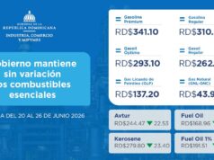 Gobierno mantiene sin cambios los precios de los combustibles esenciales