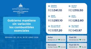 Gobierno mantiene sin cambios los precios de los combustibles esenciales