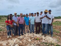CDP y parceleros denuncian presunta invasión de terrenos en Boca Chica
