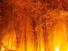 12 muertos y 8 heridos en un incendio en el sur de España, el más grave hasta la fecha