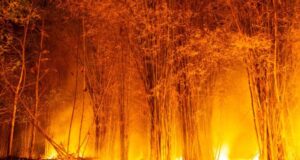 12 muertos y 8 heridos en un incendio en el sur de España, el más grave hasta la fecha