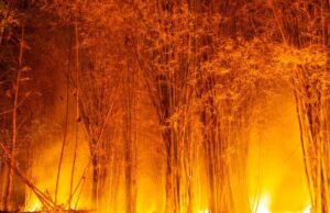12 muertos y 8 heridos en un incendio en el sur de España, el más grave hasta la fecha