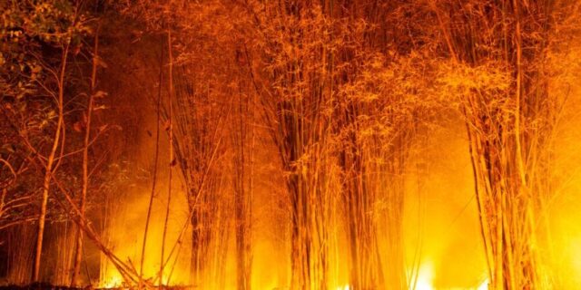 12 muertos y 8 heridos en un incendio en el sur de España, el más grave hasta la fecha