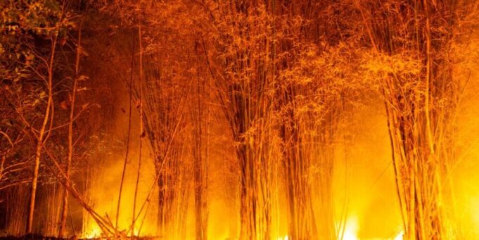 12 muertos y 8 heridos en un incendio en el sur de España, el más grave hasta la fecha