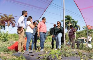 Compras públicas agroalimentarias constituyen pilar estratégico en el logro de la meta Hambre Cero en RD