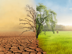 Unicef: El cambio climático interrumpió el aprendizaje de más de 170 millones de estudiantes