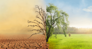 Unicef: El cambio climático interrumpió el aprendizaje de más de 170 millones de estudiantes