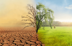 Unicef: El cambio climático interrumpió el aprendizaje de más de 170 millones de estudiantes
